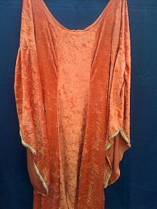 Adult Female Costumes to Hire - Medieval-Orange dress 